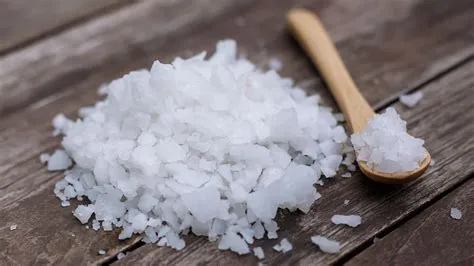  Le Tofu Brûlé à la Fleur de Sel: Un Délice Fumé et Enveloppant aux Saveurs Ancestrales?